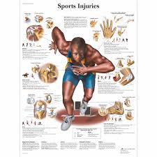 Sports Injuries Chart