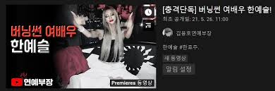앞서 유튜버 김용호 씨는 한예슬의 남자친구가 유흥업소 출신이고 한예슬은 과거 재력가 남자친구와 열애를 했다고 주장했다. Hl9zz Ri1ev8cm