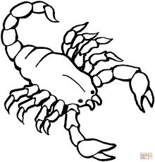 Set up a table outside and keep kids of all ages occupied with these spring pictures to color. Scorpion Coloring Pages Kidsuki