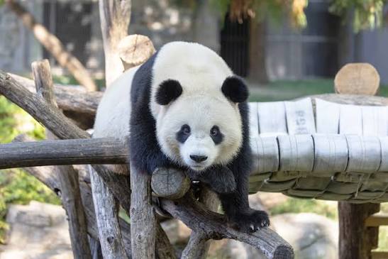 Smithsonian National Zoological Park
