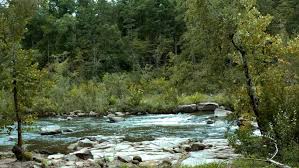 The combination of different stream forms the river; Flowing River Stream Or Creek Stock Footage Video 100 Royalty Free 1025565722 Shutterstock