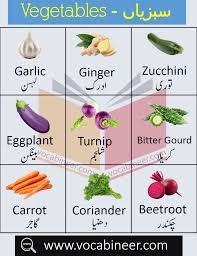 Vegetables Name In Urdu And English With Pictures In 2020 English Learning Books Vegetables Names With Pictures All Vegetables