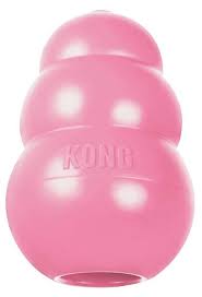 Kong Puppy Dog Toy Color Varies X Small Chewy Com Kong Dog Toys Toy Puppies Pink Puppy