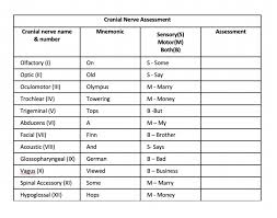 Авторское право robs handout cranial nerves worksheet1. Cranial Nerve Assessment