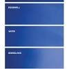 What paint type would you use? 1
