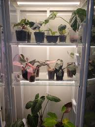 Find the best diy furniture plans here! Recently Finished Building My Ikea Greenhouse Cabinet And I M Super Happy With How It Looks Link In The Comment For Documentation Indoorgarden