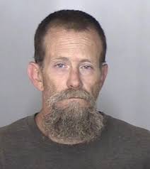 Magalia bear accessing 2nd story bird seed