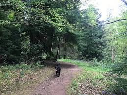 Jul 03, 2020 · ricketts glen state park is located mostly in luzerne county, pennsylvania, with small sections in sullivan county and columbia county. Leigh Woods Bristol Dog Walk Bristol Barkers