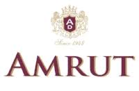 RÃ©sultat de recherche d'images pour "le logo Amrut Two"