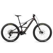 Image result for Orbea knobelii
