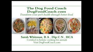 vet remended homemade dog food you