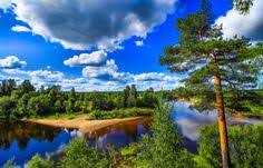 Free jigsaw puzzles online full screen. 900 Jigsaw Puzzle Ideas Puzzle Of The Day Puzzle Jigsaw Puzzles