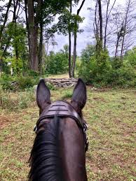 Cj Millar Eventing Nation Three Day Eventing News