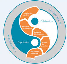 Gestion Des Competences Fedweb