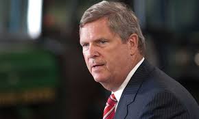 Former Agriculture Secretary Tom Vilsack Takes New Job