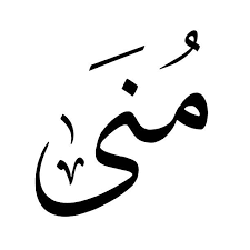 pin by ابرار احمد on زخارف و اسماء calligraphy name arabic calligraphy art name drawings