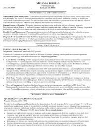 Build my cover letter now It Consultant Resume Sample