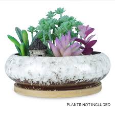 Collect your nursery pots that have smaller holes in them, put them. Artketty 7 3 Inch Round Succulent Planter Pots With Drainage Hole Bonsai Pots Garden Decorative Cactus Stand Ceramic Glazed Flower Container Bowl White With Bamboo Tray Buy Online In Brunei At Brunei Desertcart Com Productid