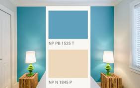 colour painting services painting colors nippon paint