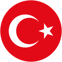 '10 seneye damga vuracağımızı düşünüyorum!' Turkiye Milli Futbol Takimi Vikipedi