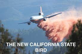 We did not find results for: Make This The New Ca State Bird Memes