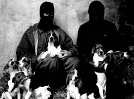 Animal Liberation Front Liberacion Animal Derechos De Los Animales Imagenes De Animales