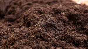 Dig up the top 10 to 12 inches of soil from the area to be amended, using a spade as the digging tool. What S The Difference Between Top Soil Garden Soil Wellers Hill Hardware