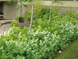 So Bepflanzen Sie Schmale Beete Effektvoll Bepflanzung Vorgarten Gartengestaltung