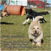 Browse animal care jobs and apply online. Pet Care Jobs Employment Indeed Com