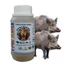 Ketika memasuki musim kering apalagi musim kering ekstrim (el nino) seperti saat ini keba. Cairan Menghalau Babi Hutan 250ml Lazada