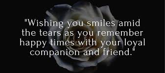 She did an excellent job raising you as evidenced by your character. 101 Sympathy Messages What To Write In Your Sympathy Card