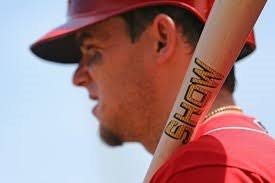 Show Baseball Bats (@SHOWBATSLLC)