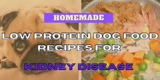 To easily crumble treats into small pieces for training, use a pizza cutter shortly after removing from the oven. Low Protein Dog Food Recipes For Kidney Disease