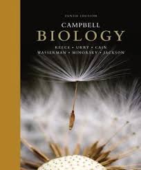 Biologi, edisi kedelapan, jilid 2 buku biologi karya neil a. Biologi Campbell Jilid 1 Pdf Phoebevmoore