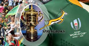 Click the fifa club world cup logos 6 Interesting Facts About The Springboks Final Match And The Rugby World Cup Finglobal