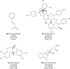 Image result for Dioscoreophyllum cumminsii