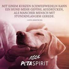People for the ethical treatment of animals (peta; 14 Peta Ideen Zitate Tiere Peta Geist Zitate
