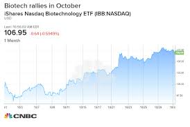 biotech stocks win october rallying 8