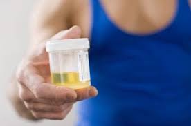 Nov 10, 2020 · how to dispute that false positive drug test. Drug Testing False Positives And False Negatives Oz Drug Tests