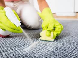 The 11 best area rugs of 2021. How To Get Stains Out Of A Carpet Coffee Urine More This Old House