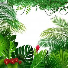 fundo de floresta tropical arte tropical ilustracao selva floresta tropical fundo de floresta tropical arte
