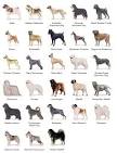 Working dog - Wikipedia