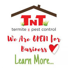 The hollywood bug guys have been operating in arizona for. Home Tnt Termite Pest Control