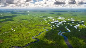 Search hotels in everglades national park, united states. Everglades National Park The Complete Guide