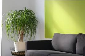 Ahora veremos algunos tips que te podrán ayudar. Colores Para Casas Colores Para Casas Interiores Como Elegir Color Para Pintar Casa