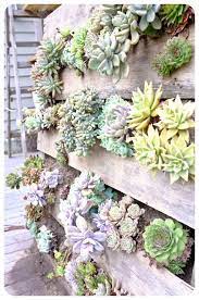 Small star vertical succulent garden living creations™ planter. Recycled Pallet Vertical Succulent Wall Garden Succulent Wall Garden Pallet Projects Garden Vertical Succulent Gardens