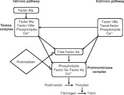 Factor xa inhibitors with high purity are used in various assays for cancer and other research areas, cited by top publications, some have entered clinical trials. Rivaroxaban A New Oral Factor Xa Inhibitor Arteriosclerosis Thrombosis And Vascular Biology