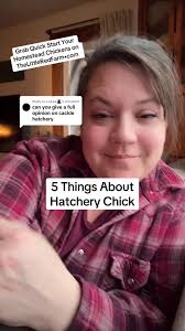 Cackle Hatchery Afro Chickens