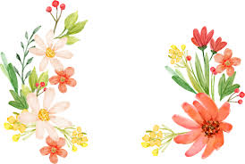 Find images of flowers png. Flower Png Images Bouquet Roses Free Transparent Png Logos