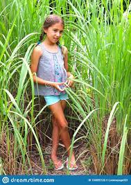 We used to think that different tastes. Tween Girl With Braids Poses In Tall Grass Stock Photo Image Of Modeling Shorts 138855126